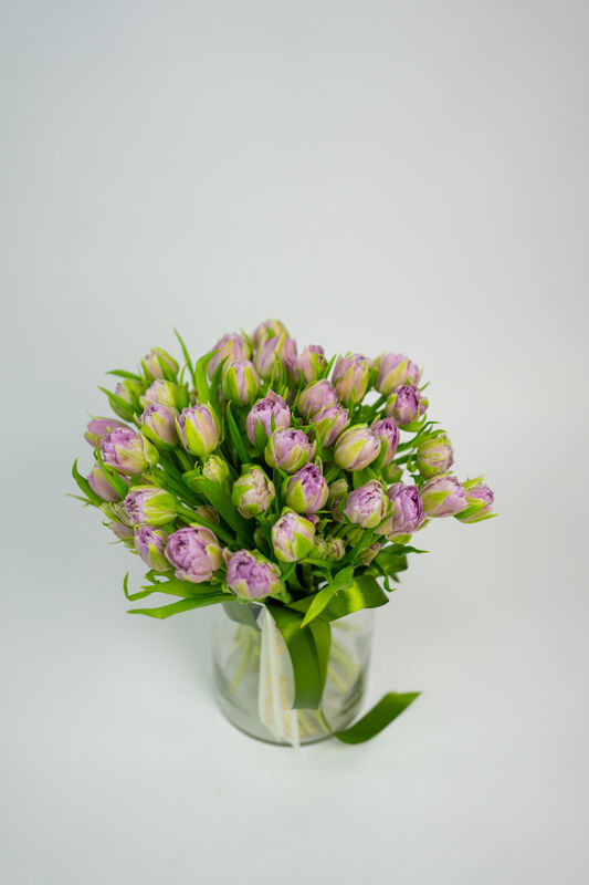 Tenderness of Spring