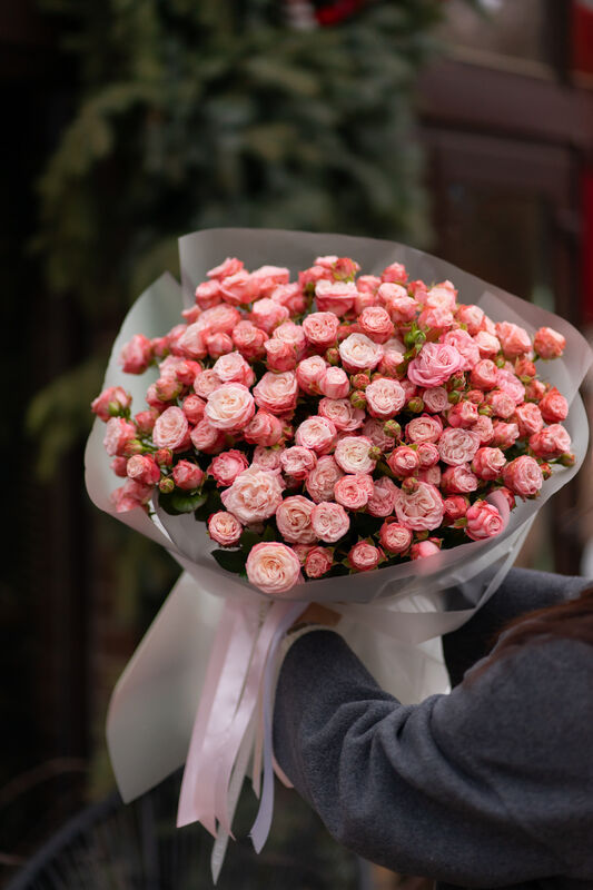 Pink Melody