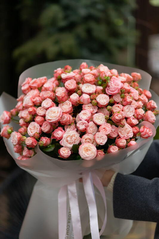 Pink Melody