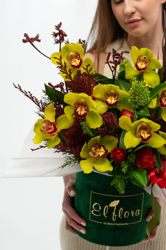 Orchid Magic