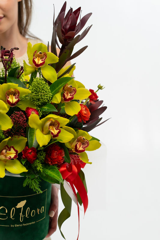 Orchid Magic